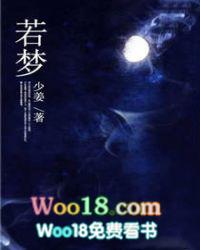 若梦的歌词